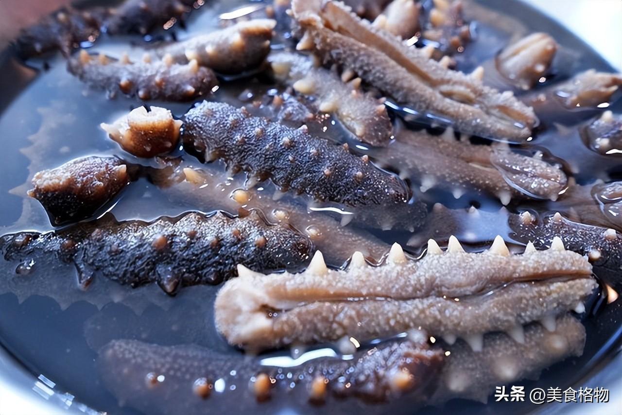 海参怎么泡发，海参泡发方法