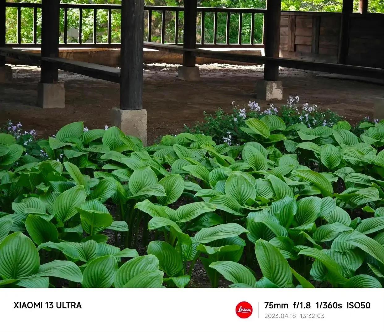 小米13ultra好不好？小米13ultra测评