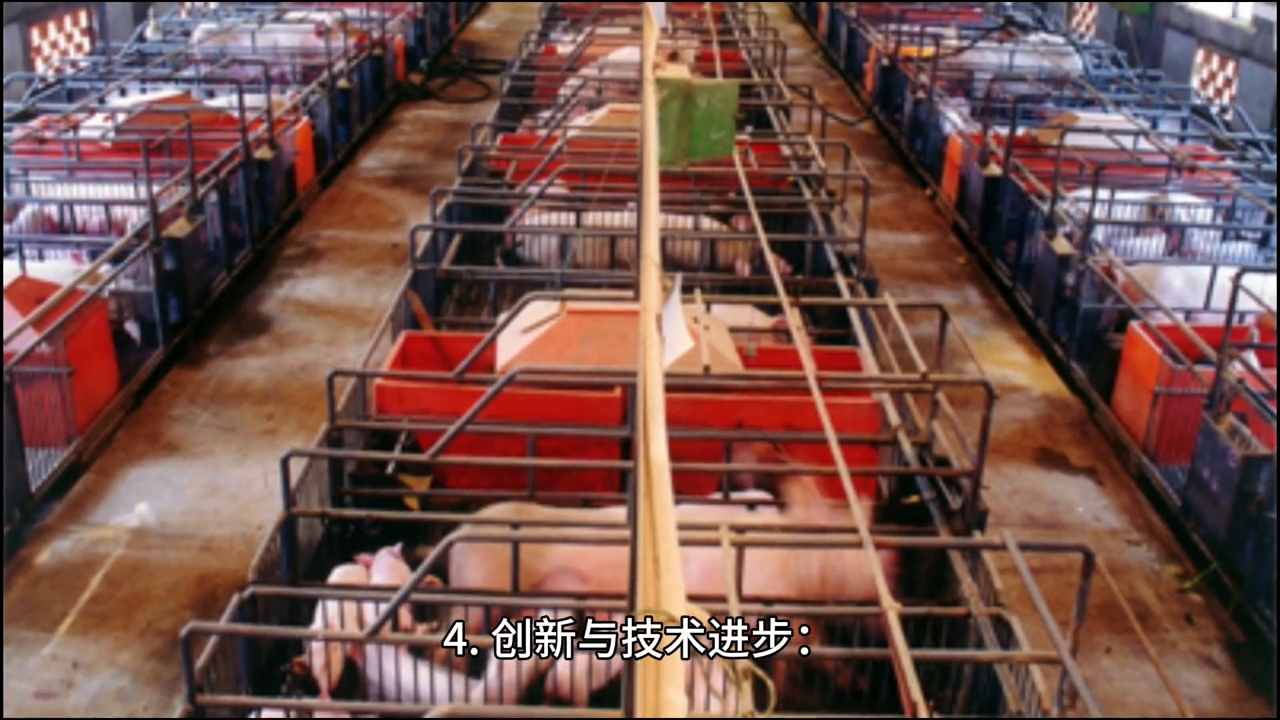 养猪有前景吗？养猪有前途吗？