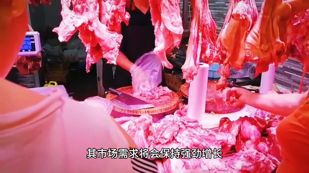 养猪有前景吗？养猪有前途吗？