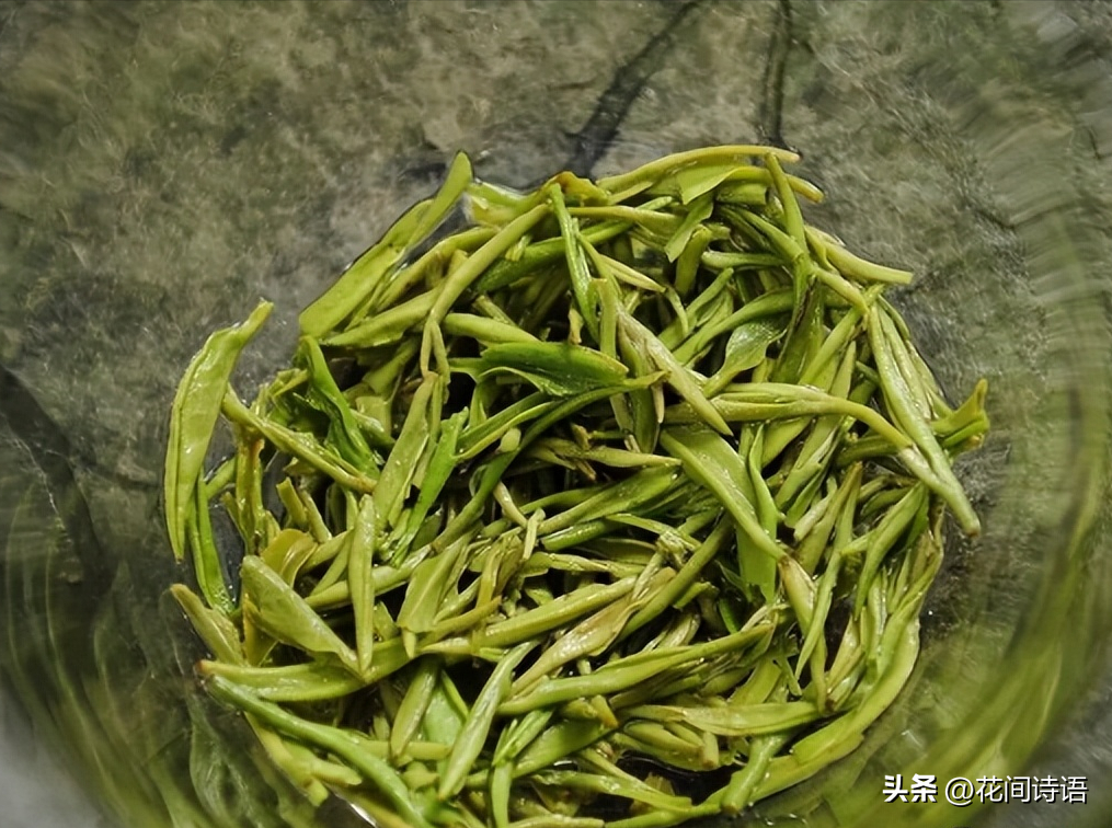 养花有哪些小妙招？养花必知的20个小妙招