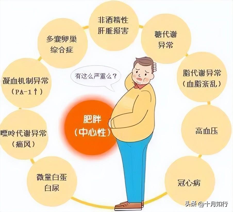 为什么腹部脂肪顽固难减？如何减掉腹部脂肪？