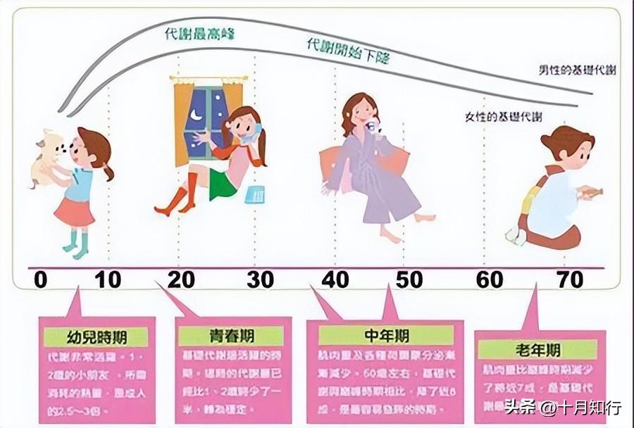为什么人到中年更容易变胖？人到中年如何保持身材？