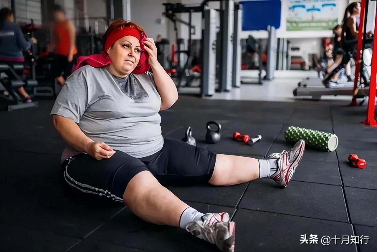 为什么少吃多动却不瘦？如何让减脂进行到底？
