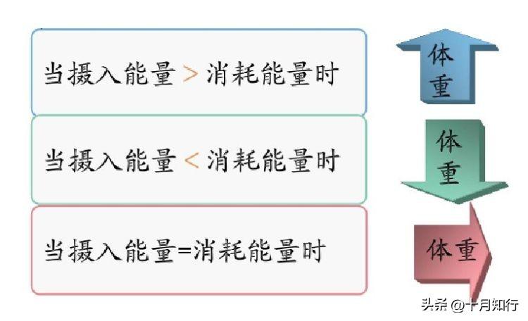 为什么少吃多动却不瘦？如何让减脂进行到底？
