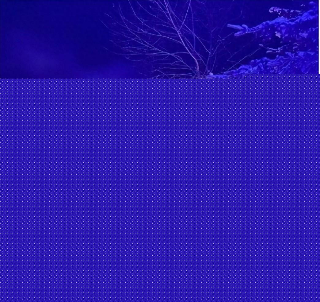 12月适合去哪里玩？适合12月旅行的八大旅游目的地