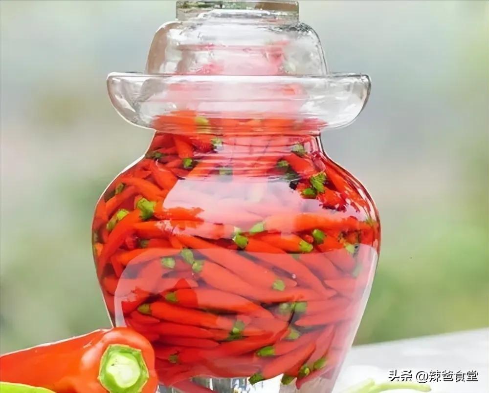 哪些食材最适合制作腌菜？腌菜怎么做？
