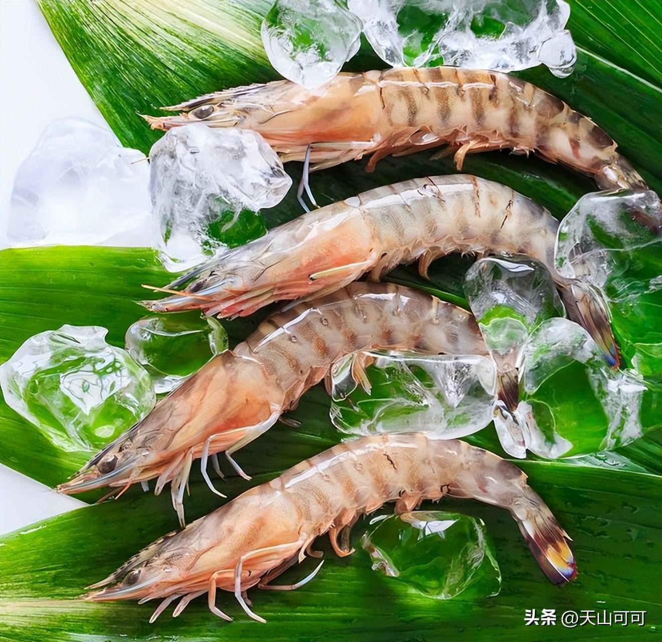 为什么不建议吃北极虾？什么原因？