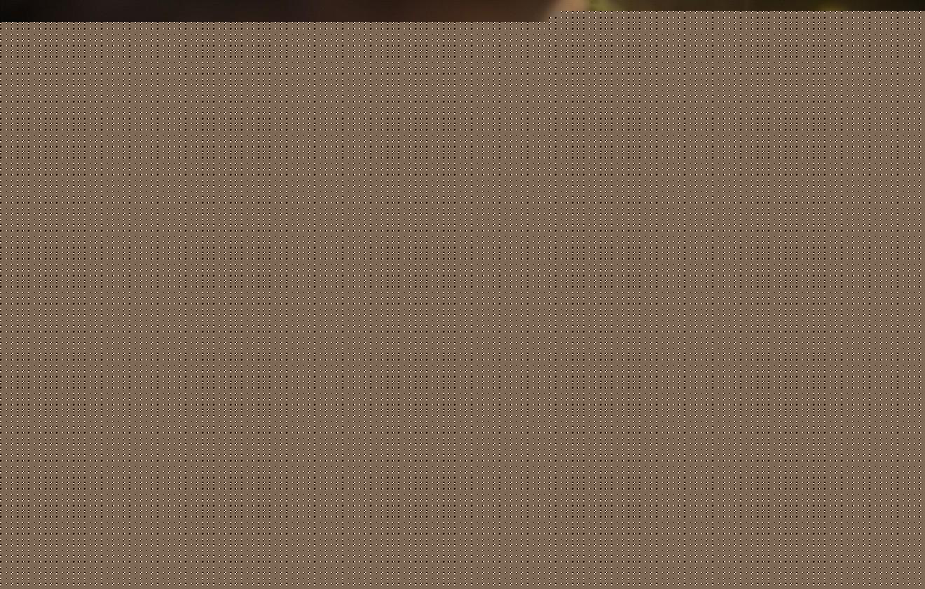 安吉白茶怎样储存？安吉白茶最佳储存方法