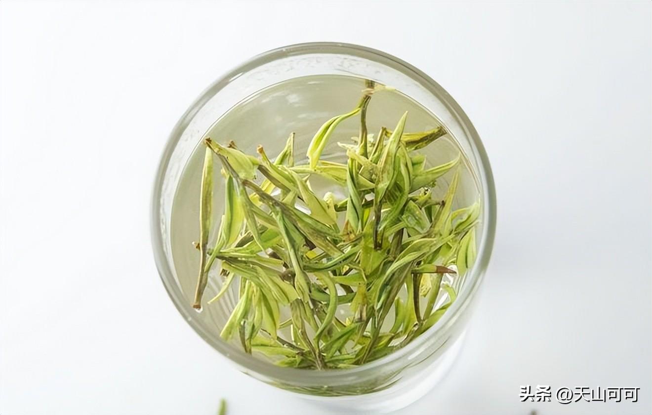 白毫银针怎么泡？白毫银针的冲泡方法