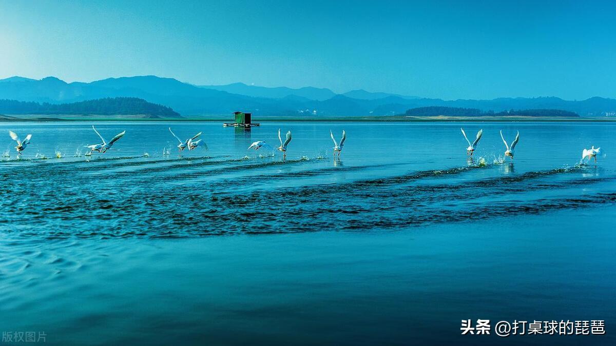 鹰潭有哪些景点？鹰潭旅游必去景点推荐