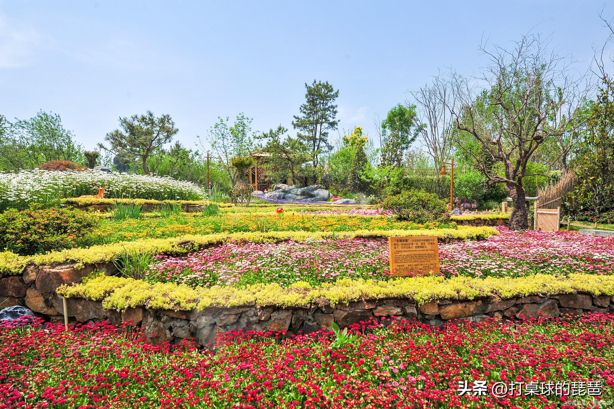 章丘有哪些景区景点？章丘景区景点推荐