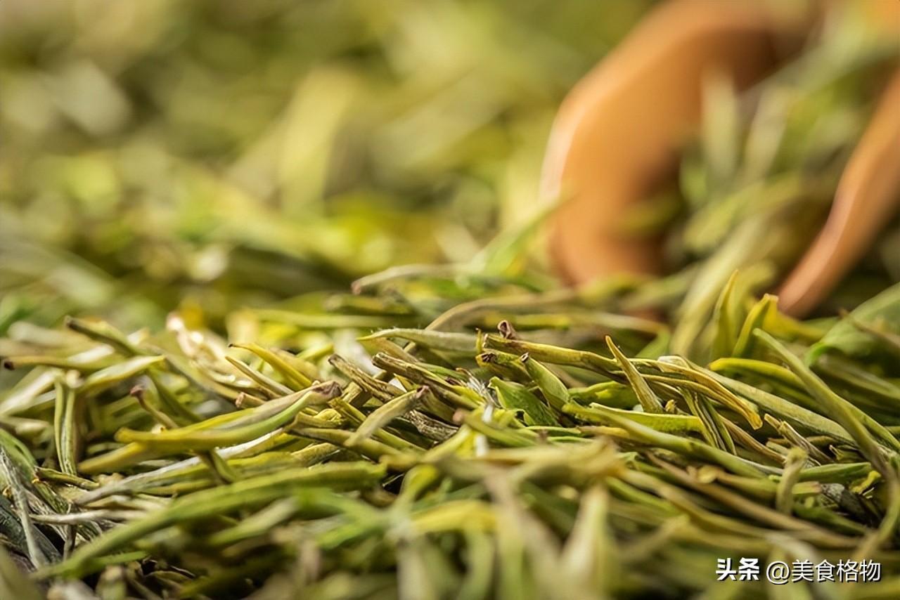 中国哪里茶叶最出名？全国哪的茶叶最好喝？
