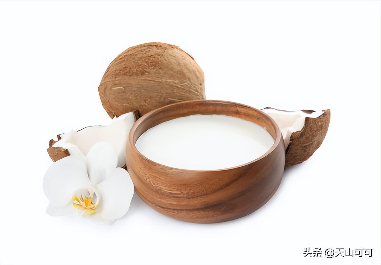 椰浆哪个牌子最正宗？以下品牌推荐