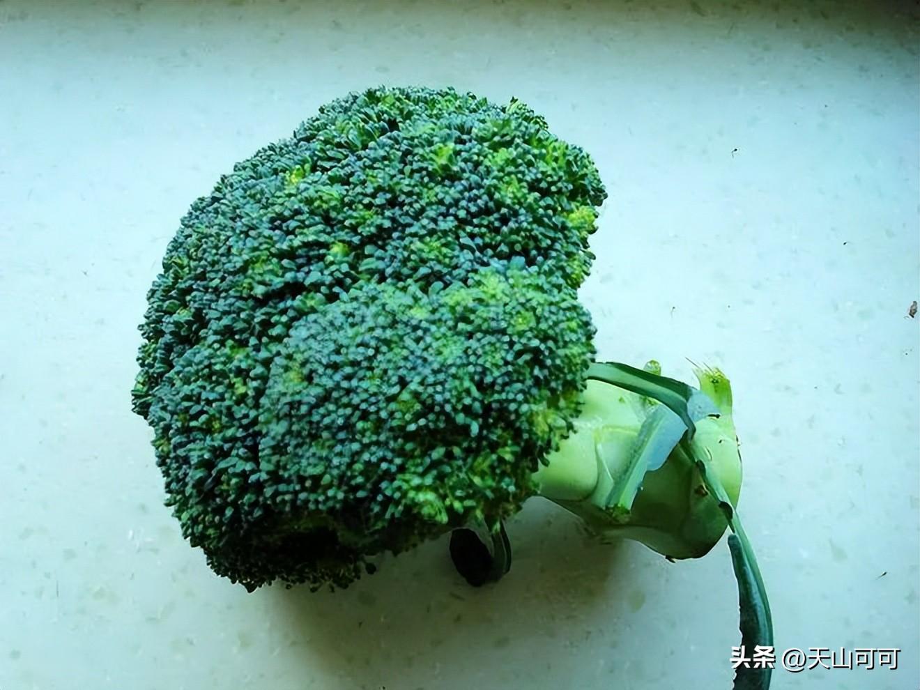 花椰菜和西兰花一样吗？花椰菜和西兰花的区别？