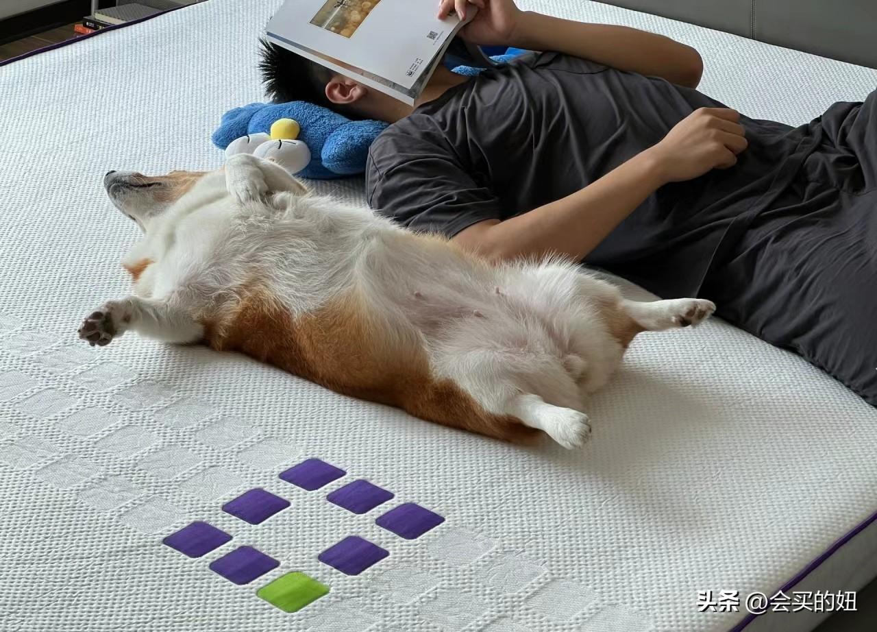 卷包床垫为什么能火？卷包床垫是智商税吗？