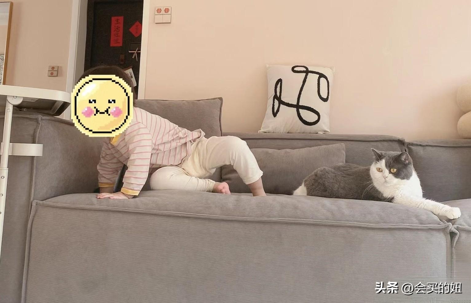 沙发买皮的好还是布的好？皮沙发与布沙发的分类