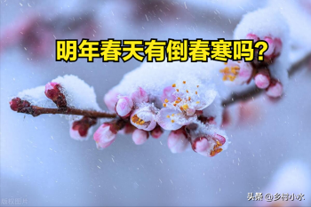明年春天有倒春寒吗？有什么说法？