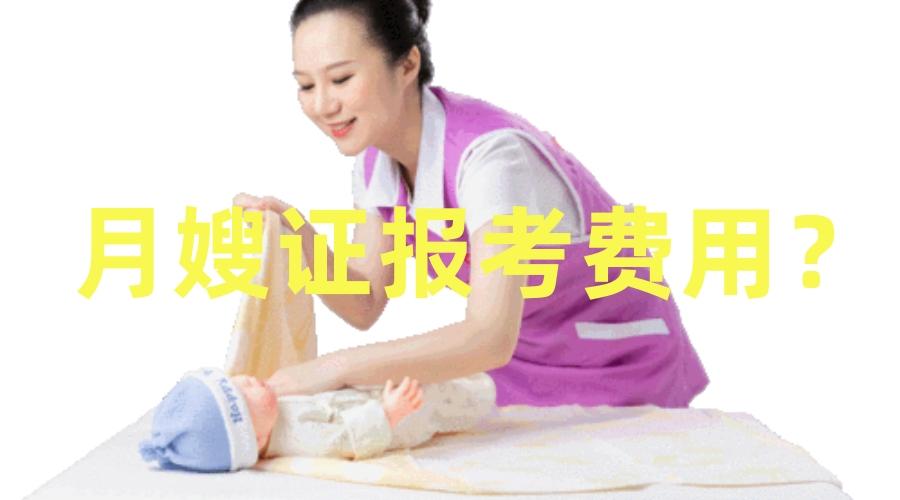月嫂证怎么报考？月嫂证报考费用？