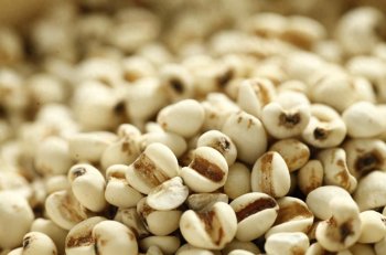 薏米怎么煮才软糯好吃？薏米怎么做好吃又营养？