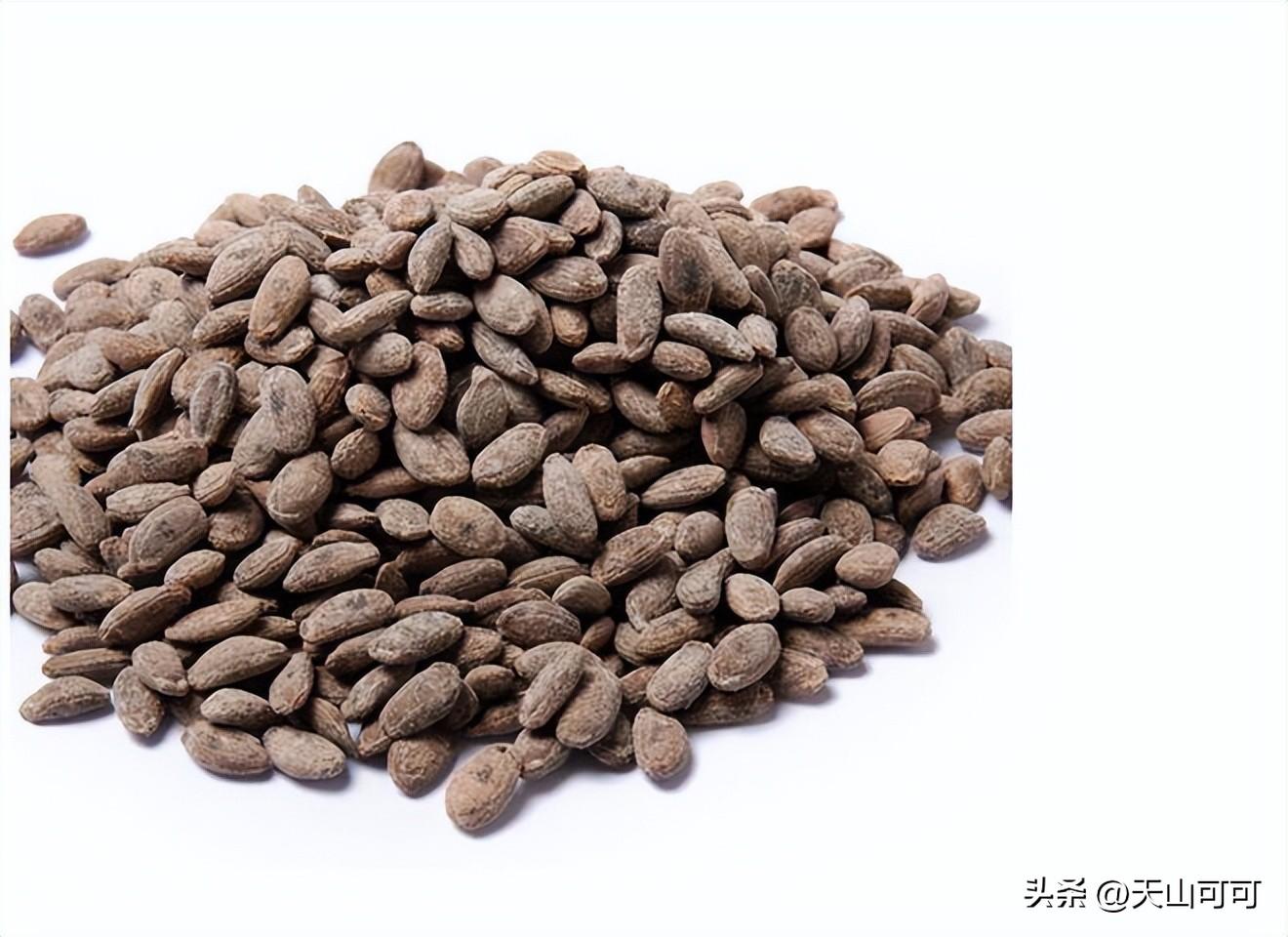 瓜蒌子与吊瓜子什么区别？瓜蒌子与吊瓜子的区别
