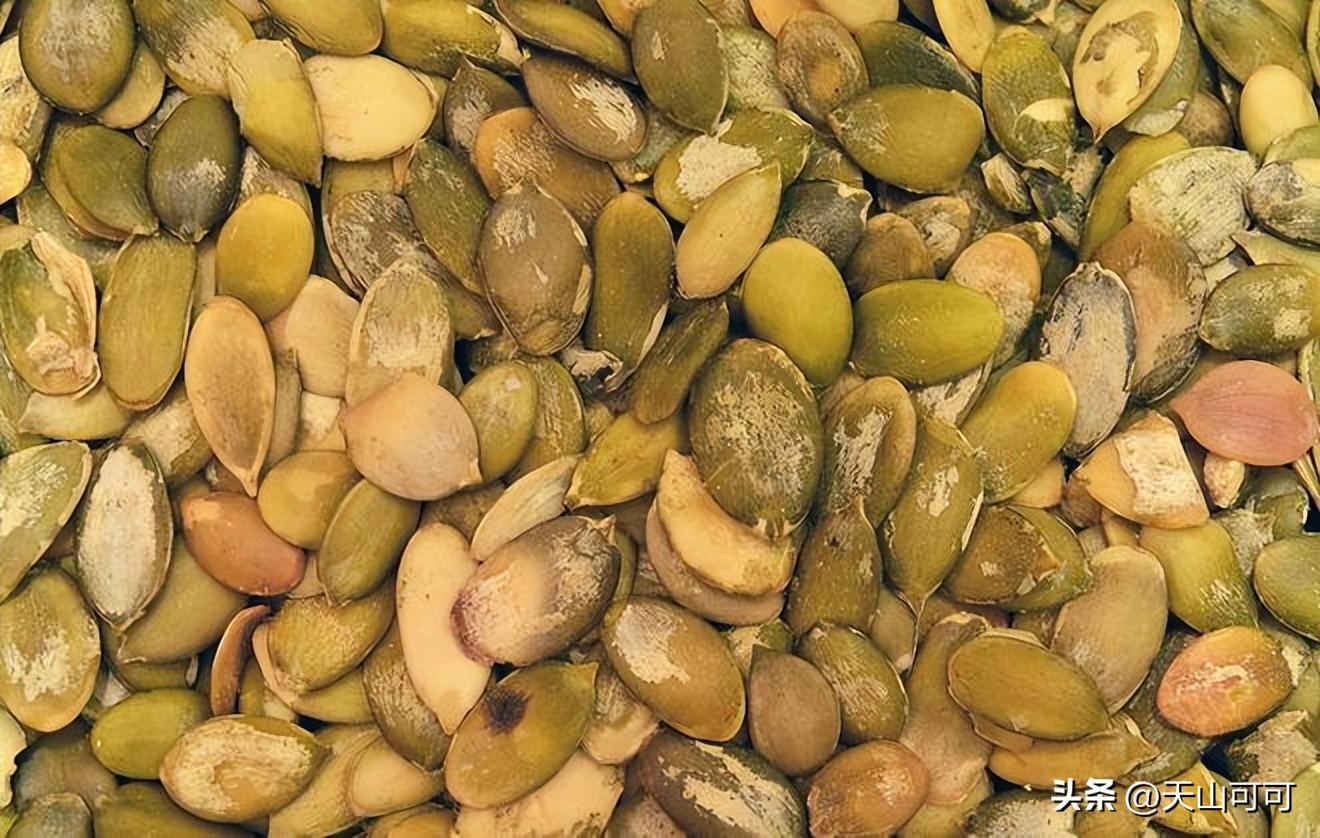 瓜蒌子与吊瓜子什么区别？瓜蒌子与吊瓜子的区别