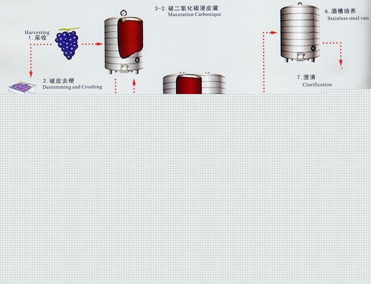 香槟酒属于什么酒？香槟酒的功效和作用